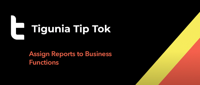 TipTok-Tigunia-Assign-Reports-to-Business-Functions