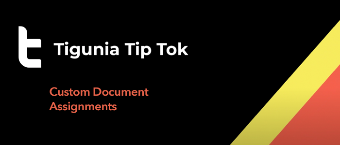 TipTok-Tigunia-Custom-Document-Assignments
