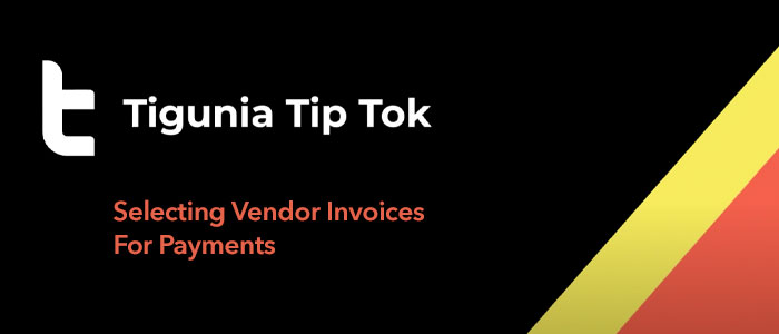 TipTok-Tigunia-Selecting-Vendor-Invoices-For-Payments