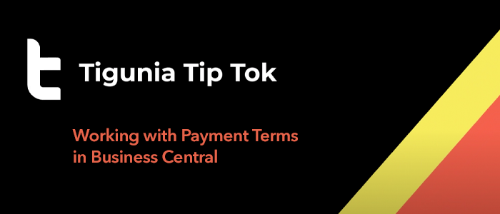 TipTok - working with payment