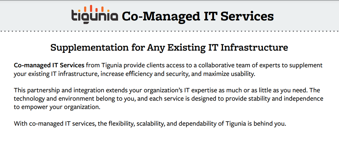 Co-Managed IT Services from Tigunia